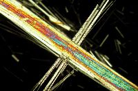 Amosite Asbestos
