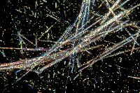 Tremolite Asbestos